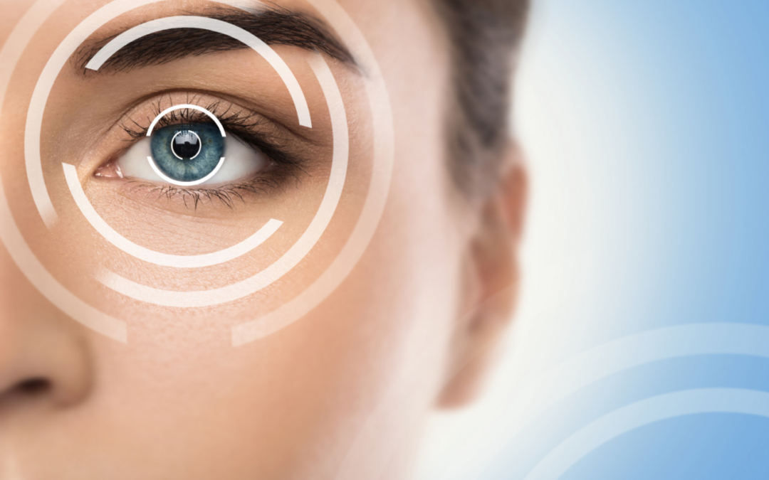 Anatomy of the eye